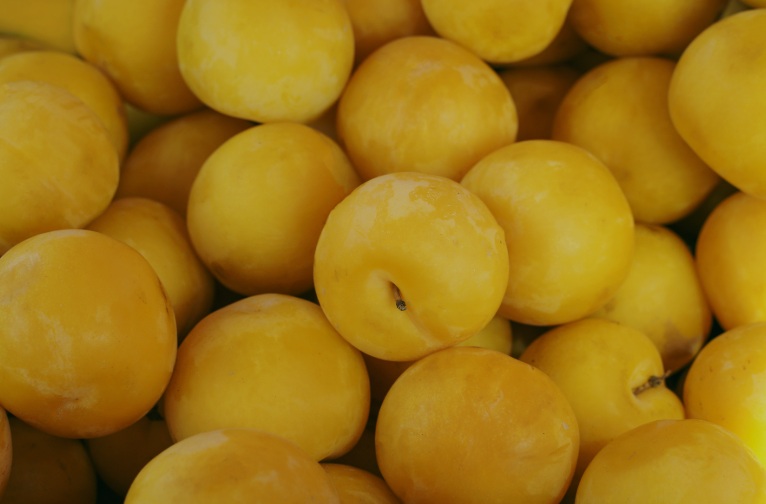 Plums Yellow